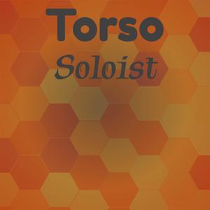 Torso Soloist