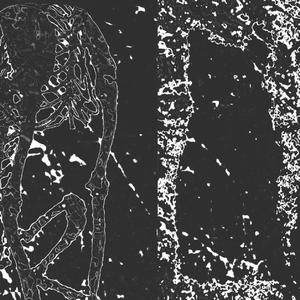 don't try to act important (feat. klwn cat & unruly) (Explicit)