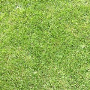 サカナクション-新宝岛 (華鳥風月_Hanatori remix)