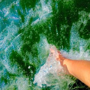 waterlight(feat. Zhone) (Explicit)