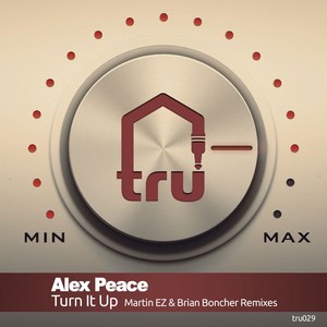 Turn It Up (Martin EZ Remix)
