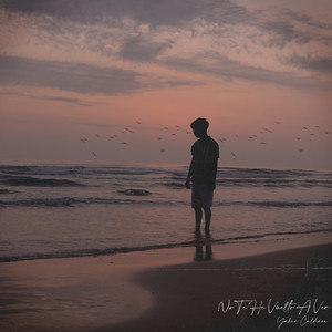 No Te He Vuelto a Ver