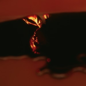 TOXIC (Feat. TRADE L)