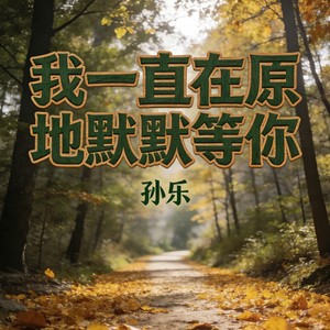 我一直在原地默默等你