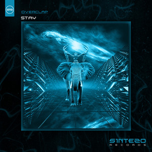 Stay (Original Mix)