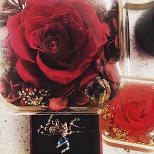 Now Playing In Theaters: Simply Gorgeous