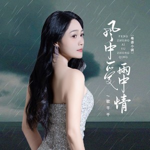 风中爱雨中情
