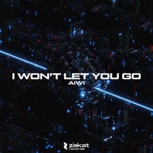 I Won't Let You Go