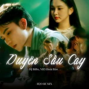 Duyên Sầu Cay (DJ Bibo Remix phiên bản Nam)