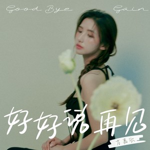 好好说再见封面