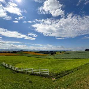 Beneath the Irish Sky