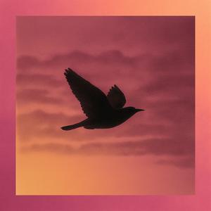 vision (feat. Hontis & Emily Vay)