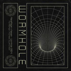 Wormhole (feat. Nesiam) [Explicit]