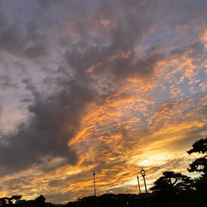 夕刻の針