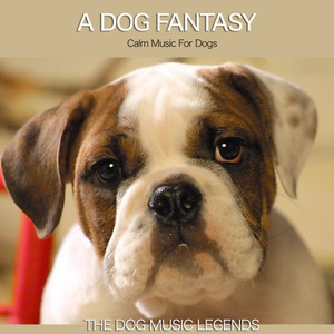 A Dog Fantasy