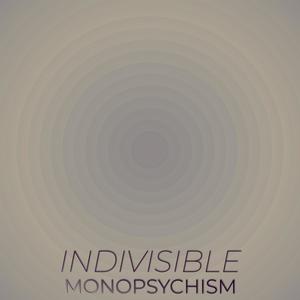 Indivisible Monopsychism