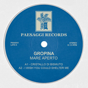 I Wish You Could Shelter Me