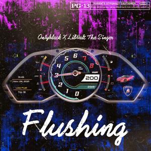 Flushing (feat. LilWalt The Singer) (Explicit)