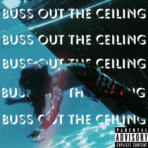Buss Out The Ceiling (Explicit)