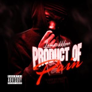 After party (feat. Lamarrkkkooo, mozi & Floccoblu) (Explicit)