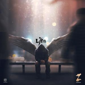 LIFE (Explicit)