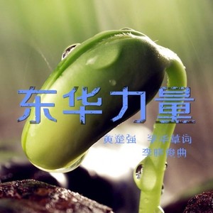 东华力量