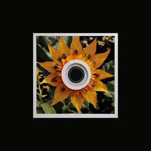 We Outside (feat. Zay.Peace) (Explicit)