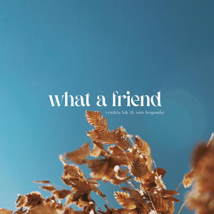 What A Friend (feat. Sam Leoganda)