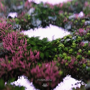 Fuxbau VA 002 (Explicit)