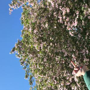 Bittersweet Memory(I think She's Japanese) (Explicit)