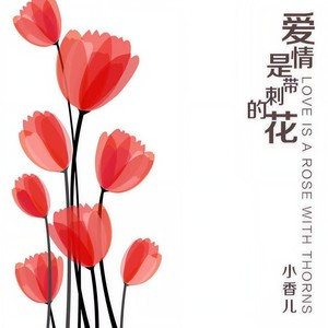 爱情是带刺的花 (伴奏)