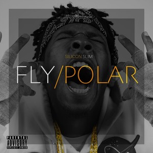 Flypolar (Explicit)