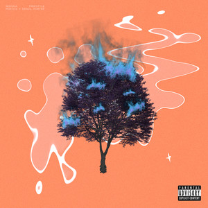 Sedona Freestyle (Explicit)