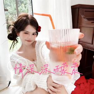 情深深雨濛濛 (电视剧原版)封面