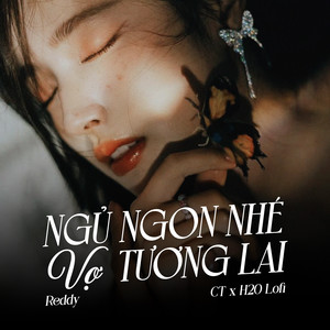 Ngủ Ngon Nhé Vợ Tương Lai (Lofi)
