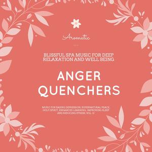 Anger Quenchers (Blissful Spa Music For Deep Relaxation And Well Being) (Music For Easing Depression, Supernatural Peace, Holy Spirit, Enhanced Learning, Improving Sleep And Reducing Stress, Vol. 12)