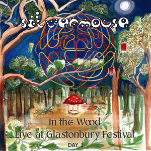 Desert Fly (Live at Glastonbury Festival)