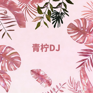 青柠封面