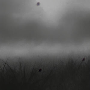 Not what it seems (feat. Post Pocalyptic Beatz) (Explicit)
