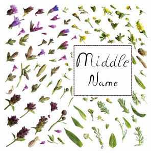 What Сolor of Sail Would You Like ?