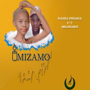 Imizamo (feat. Mhlangarox )