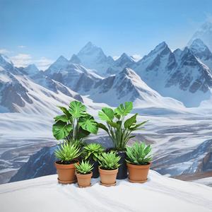 plantas en la nieve. (intro) (Explicit)