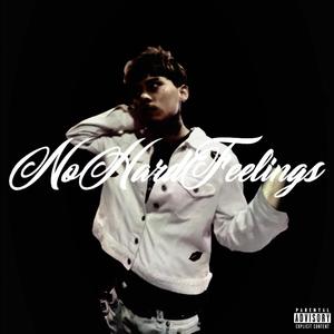 No Hard Feelings (Explicit)