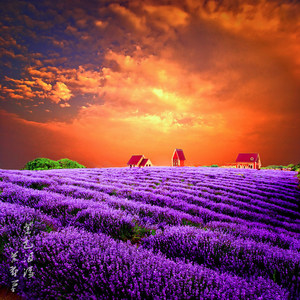 人见人都是演苟跟苟都是舔