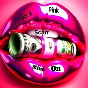 I GotA Pink Mink On (Explicit)