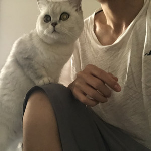 春娇与志明