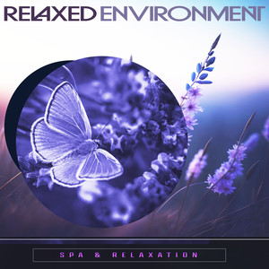 Waves Beat the Shore