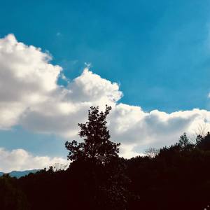 《黑 色 衬 衫》