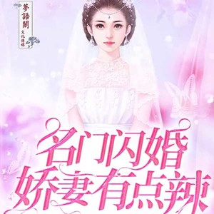 名门闪婚：娇妻有点辣