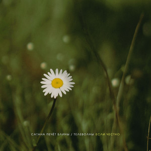 Если честно (Slowed + Reverb)